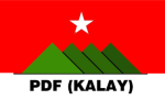 Vignette pour Force de défense populaire - Kalay