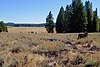 Kyburz Flat Site Kyburz Flat, Sierra County, California.jpg