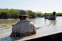 People fishing in Kyonkadun, Pyapon Township
