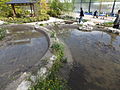 京都水族館 (77)