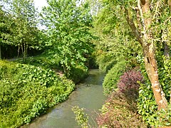 La Nièvre à Berteaucourt-les-Dames vue depuis la D12