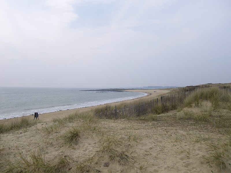 File:La cote a locmariaquer - panoramio.jpg