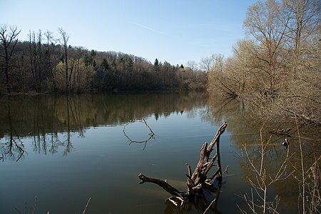 Lac Coffy