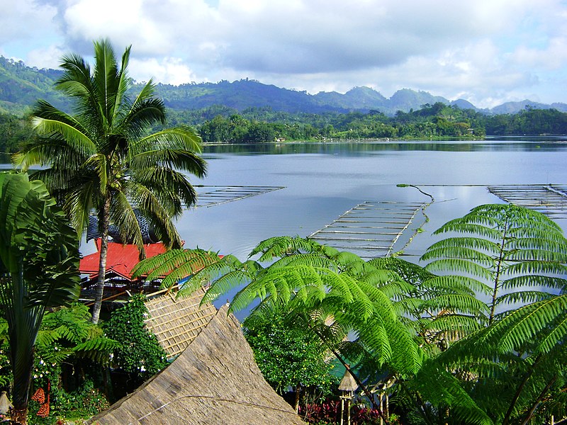 File:Lake Sebu (from Punta Isla).JPG