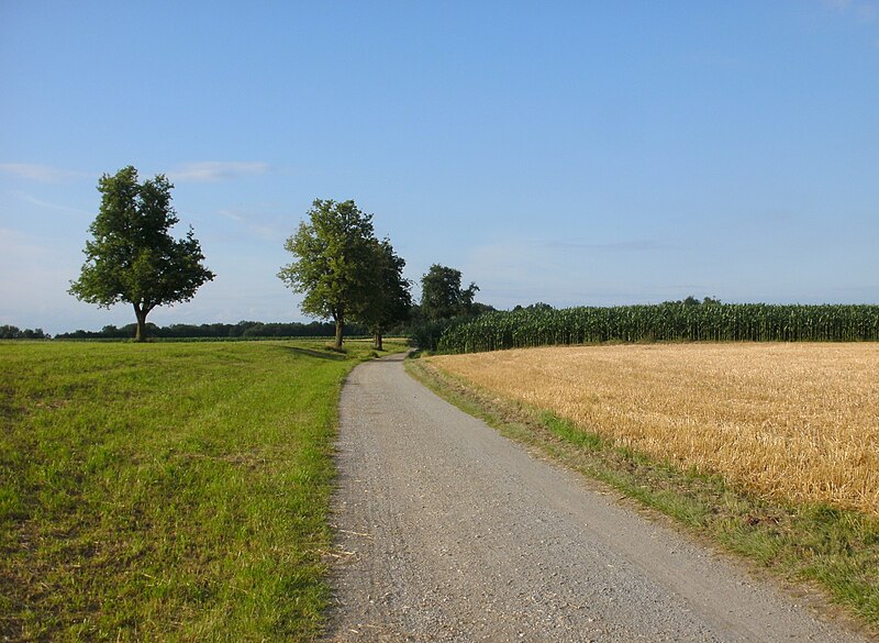 File:Landscape in Reichersberg - 01.JPG