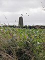 Le grand menhir de Saint-Gonvarc'h (isolé au milieu d'un champ) 1.