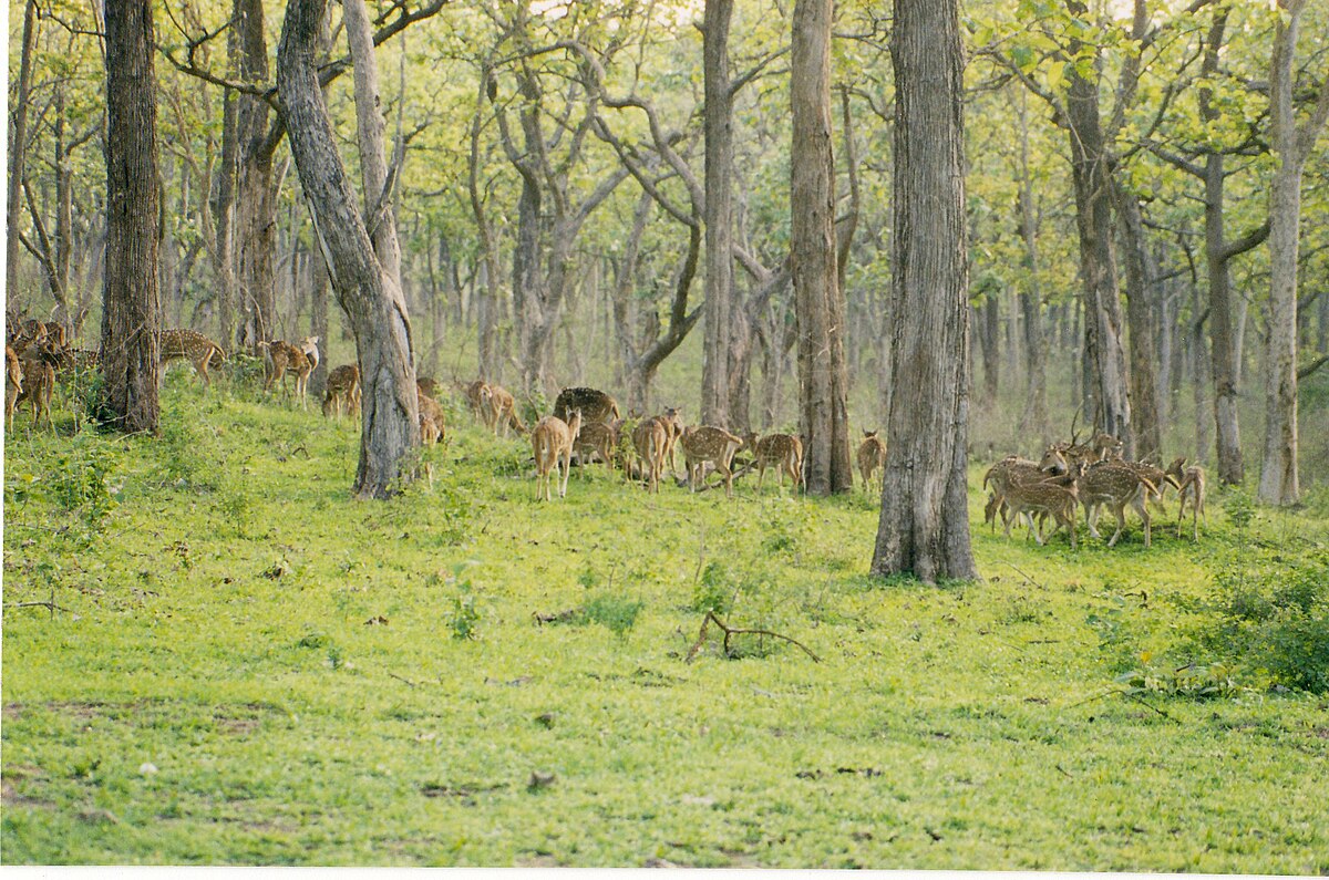 Category:Bandipur National Park - Wikimedia Commons