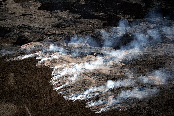 Lava flow on the coastal plain of Kīlauea, on the island of Hawaii, generated this wildfire.