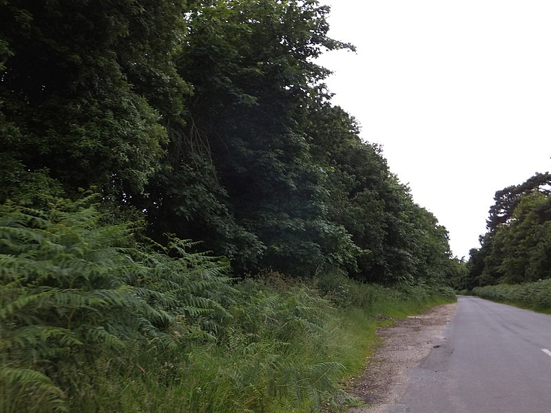 File:Lay-by on Tunstall Road - geograph.org.uk - 4056330.jpg