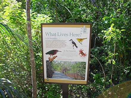 Leon Levy Native Plant Preserve