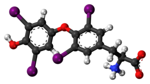 Levothyroxine zwitterion 3D ball