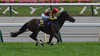 <span class="mw-page-title-main">Liberty Island (horse)</span>