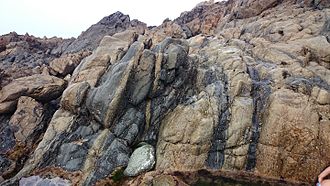 Tight folds at the contact between Icart Gneiss (light) and mylonitised quartz diorite (dark), western end of Lihou Island Lihou folds.jpg