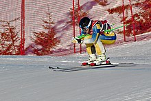 Lillehammer 2016 - Men Ski Cross - David Mobaerg.jpg