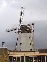 لوبیت - Tolhuys Coornmolen.JPG