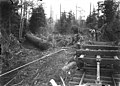 Logging crew yarding log with railroad flatbed car on right, Washington, ca 1909-1910 (INDOCC 1412).jpg