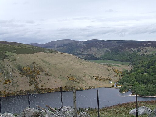 Lough Dan looking south-east May 2015 02