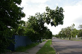 Ludmiła-bagot-rd.jpg