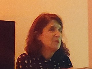 <span class="mw-page-title-main">Lynne Sachs</span> American experimental filmmaker (born 1961)