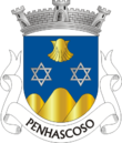 Vlag van Penhascoso