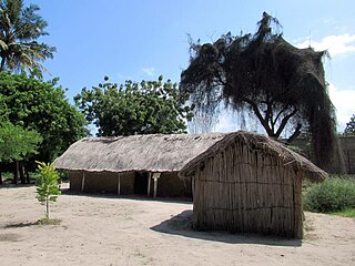 <span class="mw-page-title-main">Mikocheni</span> Ward of Kinondoni District, Tanzania