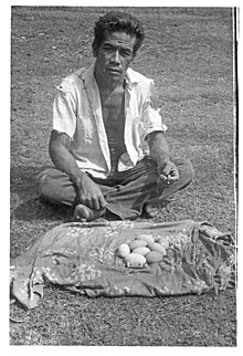 Fotografía en blanco y negro que muestra a un hombre y los huevos de megapod Pritchard recolectados en Vai Lahi, en la isla Niuafo'ou en 1967.