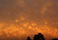 Mammatus al atardecer