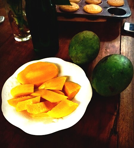 Mangifera_caesia