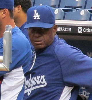 <span class="mw-page-title-main">Manny Mota</span> Dominican baseball player