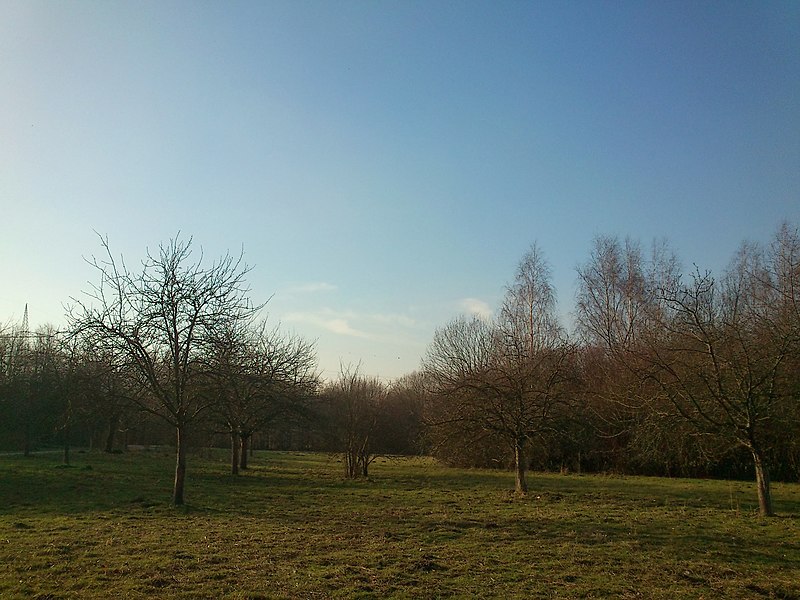 File:Meilengraben, Technologiepark Dortmund, 31.01.14 - panoramio.jpg