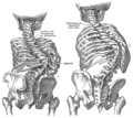 Thumbnail for Iliocostal friction syndrome