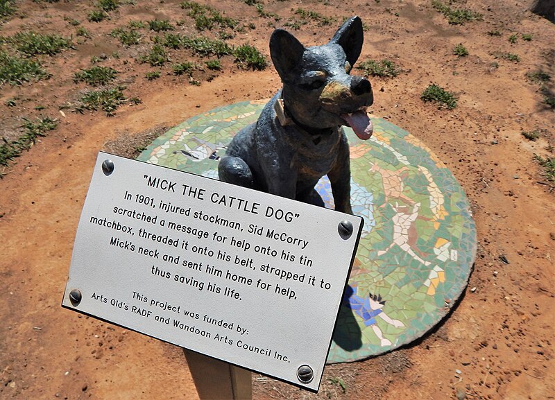 File:Mick the Cattle Dog monument in Wandoan October 2014.jpg