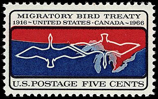 Migratory Bird Treaty 1916 treaty between Canada and the United States