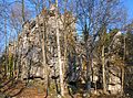 The ruins of the Milštejn castle