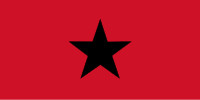 Military flag of Guinea-Bissau.svg