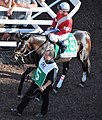 MonmouthPark-Haskell2017-McCraken2.jpg