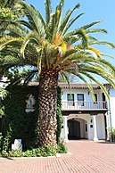 Moraga, CA USA - Saint Mary's College of California - panorama (1).jpg