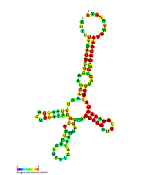 MtDNA-besturing SS.png