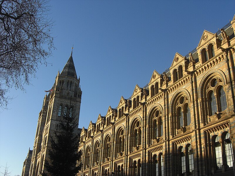 File:Museo de historia natural londres.JPG