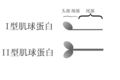 2007年3月31日 (六) 16:56版本的缩略图