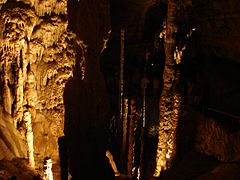 More tall, thin stalagmites.