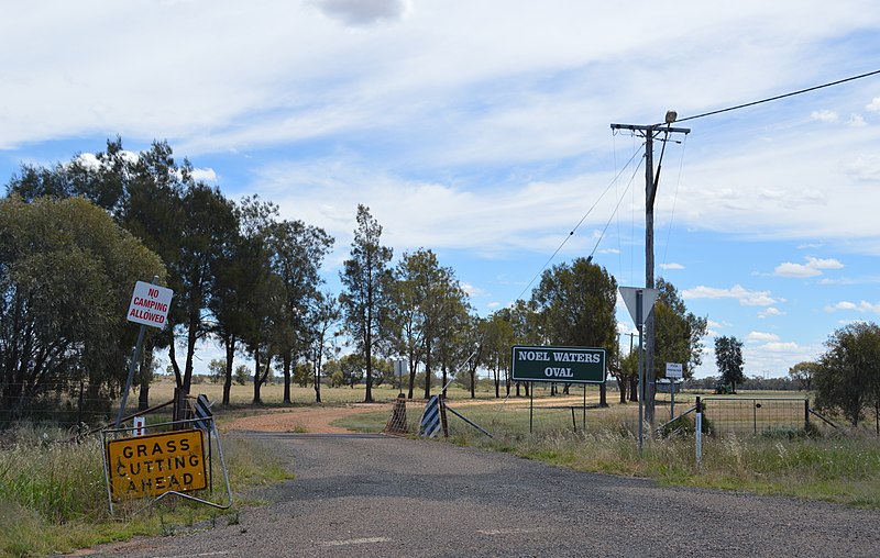 File:Nevertire Noel Waters Oval.JPG