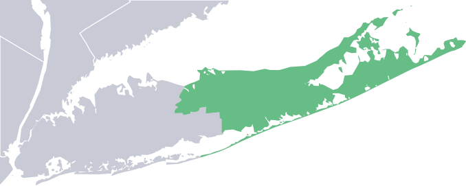 New York—Congressional District 1 2012