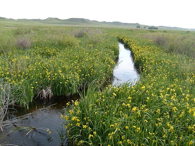 Niobrara State Park - Wikipedia