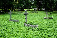 Novodevichy Cemetery.jpg