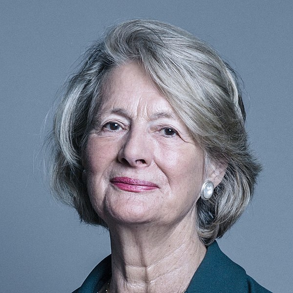 File:Official portrait of Baroness Jay of Paddington crop 3.jpg