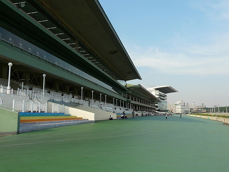 File:Ohi Racecourse 002.jpg