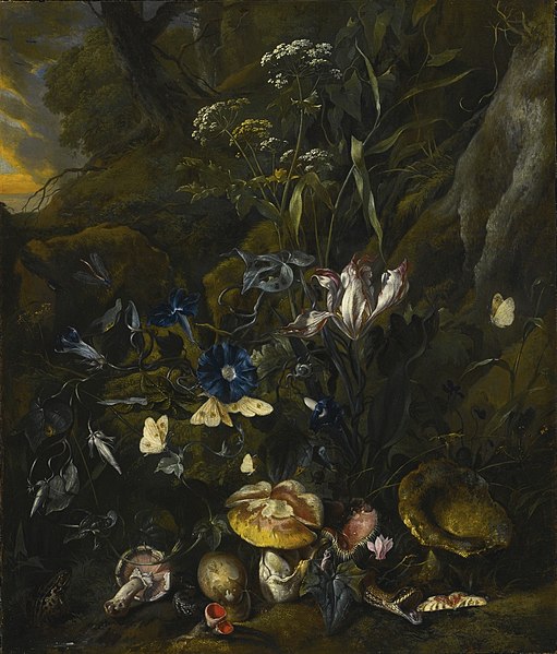 File:Otto Marseus van Schrieck - Forest floor still-life with flowers and animals.jpg