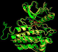 Figure 5. Overlay Structures of Active and Inactive Forms of FGFR1 kinase