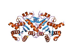 PDB 1g58 EBI.jpg